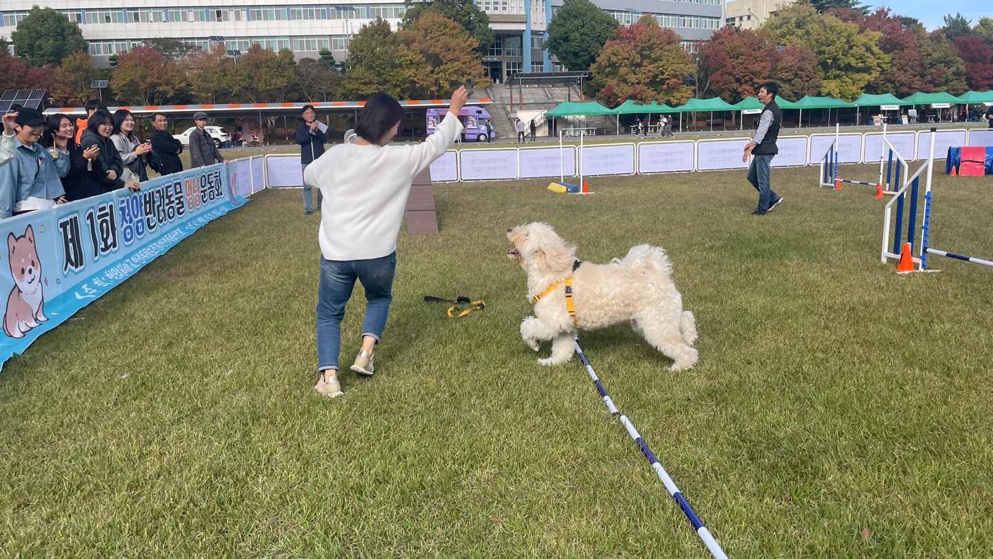 첨부파일참조